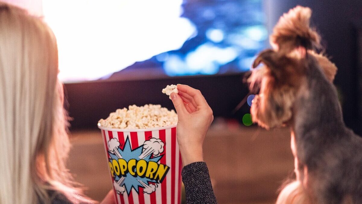 ポップコーンを食べながら画面を見ている人物と犬の写真